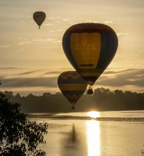 Australian Labour Market for Migrants 